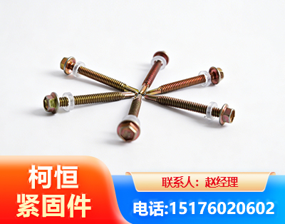 临沧六角钻尾丝