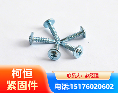 临沧华司钻尾丝