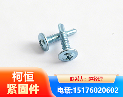 临沧华司钻尾丝