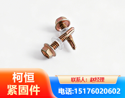 临沧六角钻尾丝